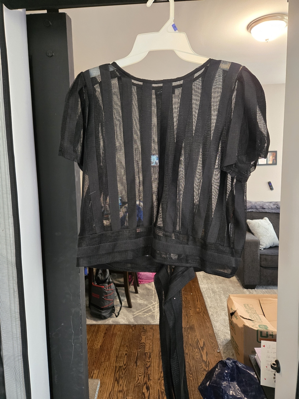 Rainbow Black Sheer Striped Tie-Back Camisole